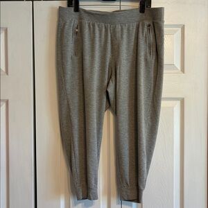 FREE WITH PURCHASE 
Torrid Heather Gray Joggers with Zipper Accents
